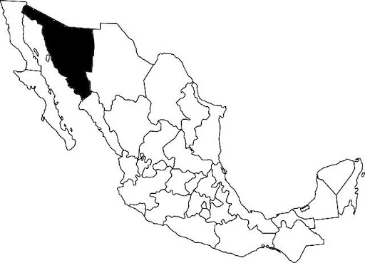 mapa de mexico donde se produce bancanora