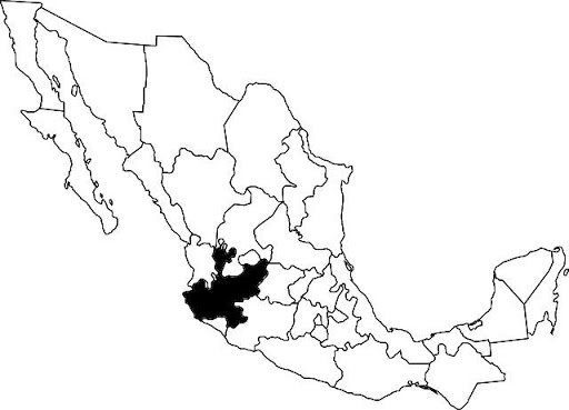 mapa de mexico donde se produce raicilla